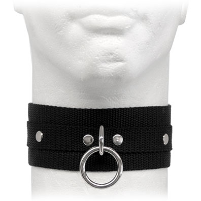 Nylon Webbed Collar